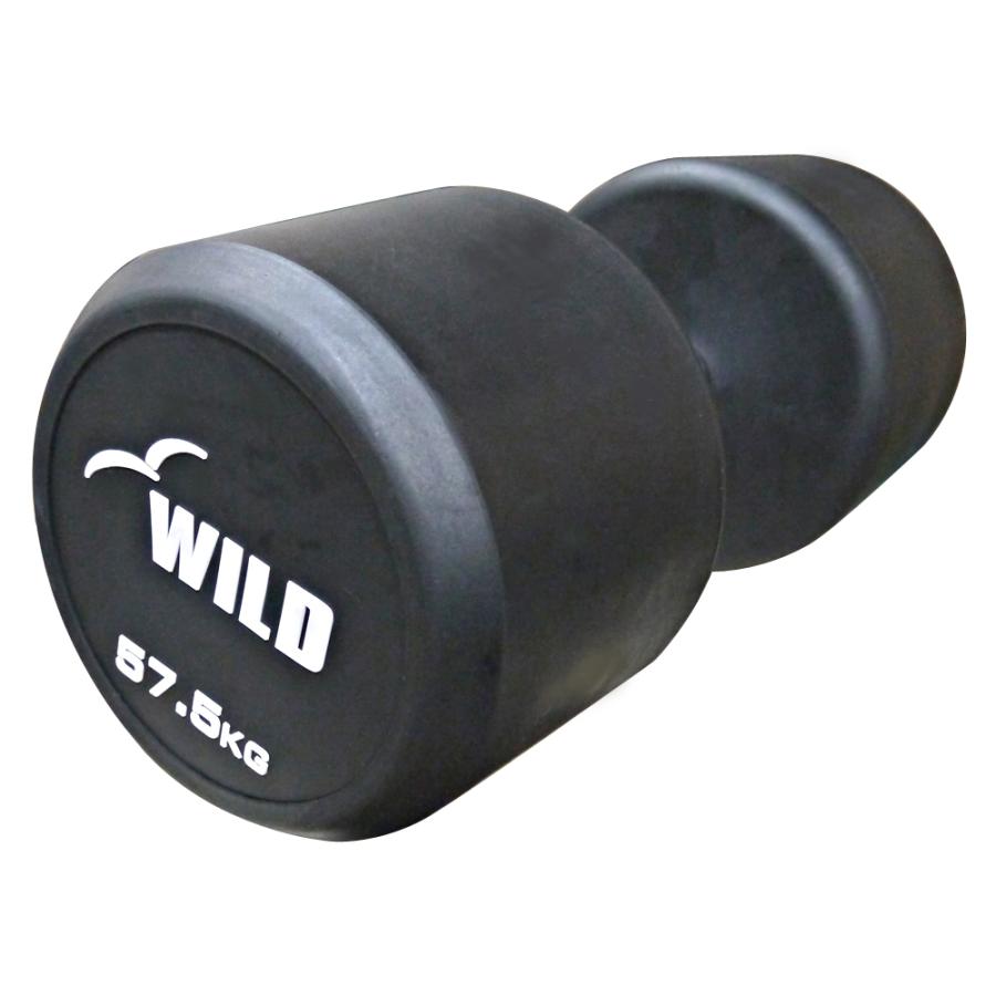 WILD FIT（ワイルドフィット） 固定式 ダンベル 57.5kg WF 2本セット