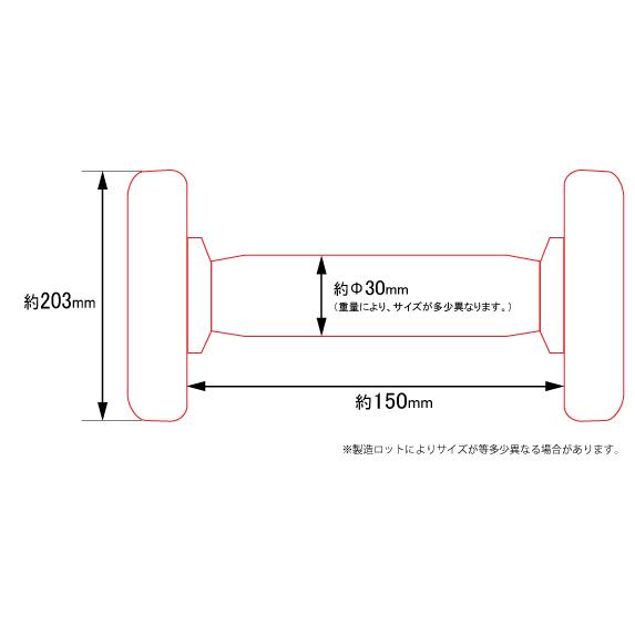 WILD FIT（ワイルドフィット） 固定式 ダンベル 57.5kg WF 2本セット