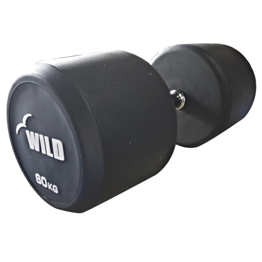 WILD FIT（ワイルドフィット） 固定式 ダンベル 60kg WF 2本セット