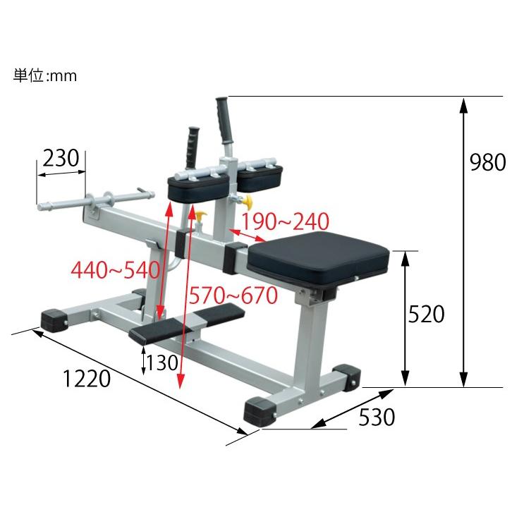 WILD FIT ワイルドフィット カーフレイズ / トレーニング器具 WILD FIT ワイルドフィット カーフレイズ / トレーニング器具
