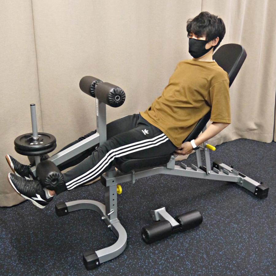 WILD FIT ワイルドフィット マルチパーパスベンチ (レッグ WILD FIT ワイルドフィット マルチパーパスベンチ (レッグ