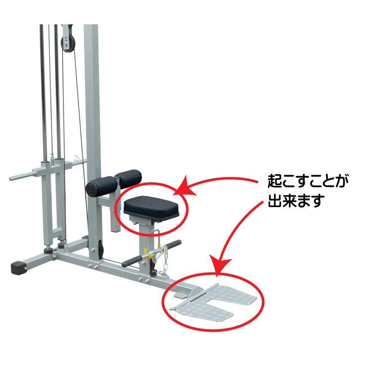 WILD FIT 5月下旬入荷予定 ワイルドフィト ラットマシン WILD FIT 5月下旬入荷予定 ワイルドフィト ラットマシン