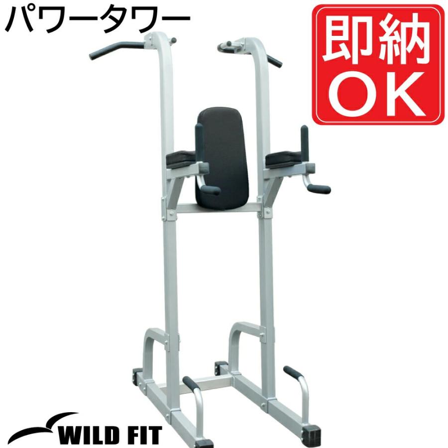 WILD FIT ワイルドフィット パワータワー / impulse チン WILD FIT ワイルドフィット パワータワー / impulse チン