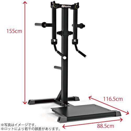 LBGYM ラテラルレイズ LBGYM ラテラルレイズ