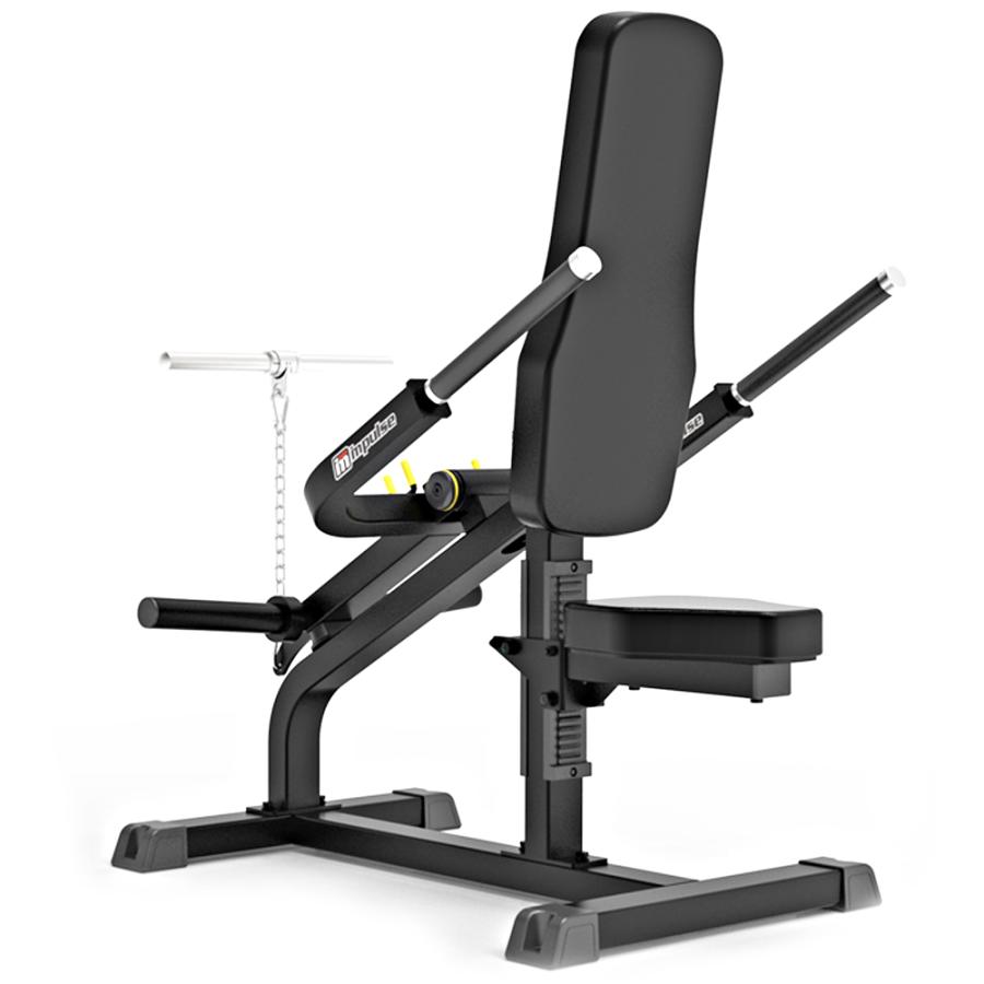 WILD FIT ワイルドフィット バイセプストライセプス / 送料無料 ジム