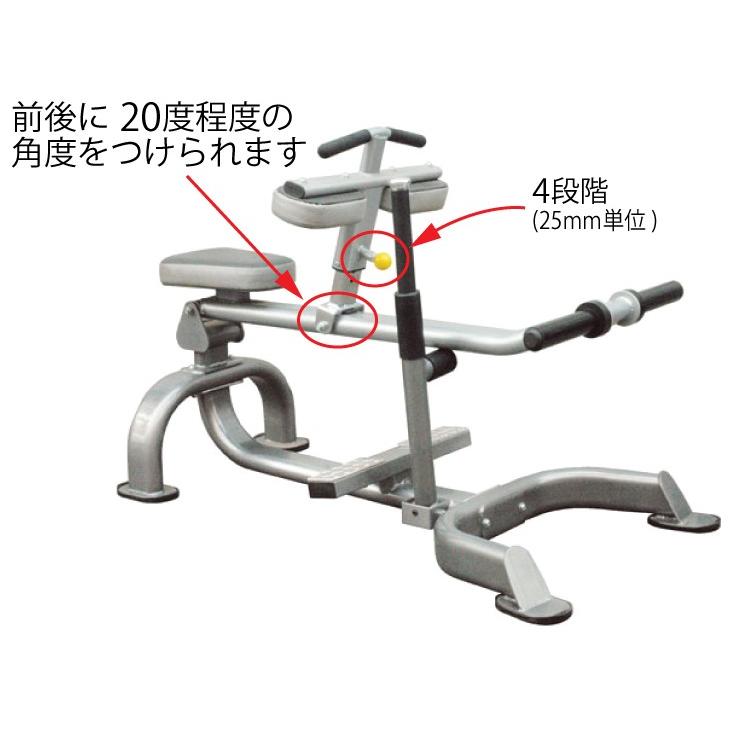 シーテッドカーフレイズ 筋トレ 腹筋 ダンベル トレーニング器具 Sit7005 ワイルドフィット 通販 Yahoo ショッピング