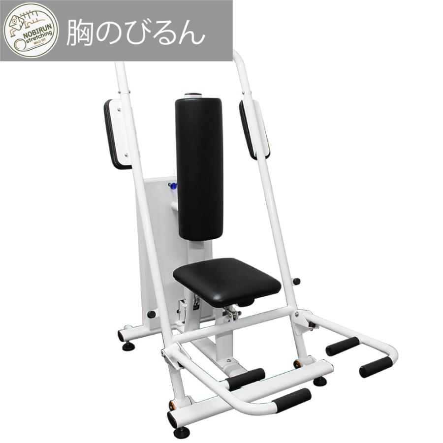 WILD FIT（ワイルドフィット） 搬入設置組立込み 胸のびるん チェスト