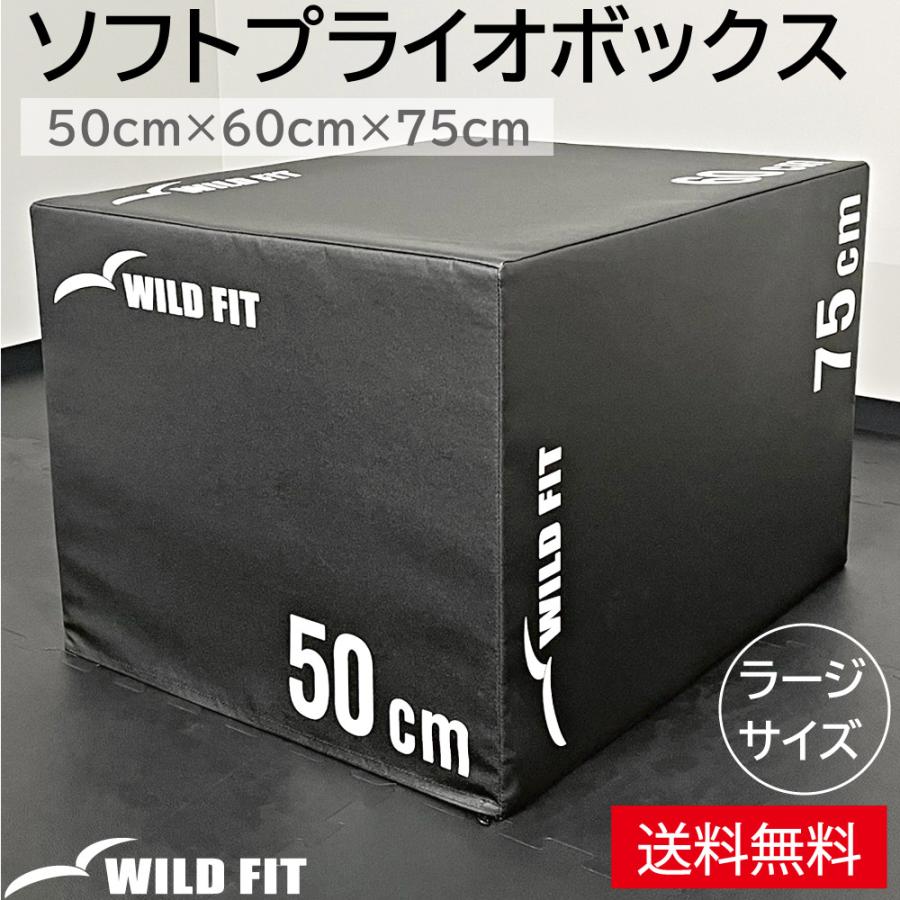 WILD FIT（ワイルドフィット） ソフトプライオボックス ラージ / 3in1
