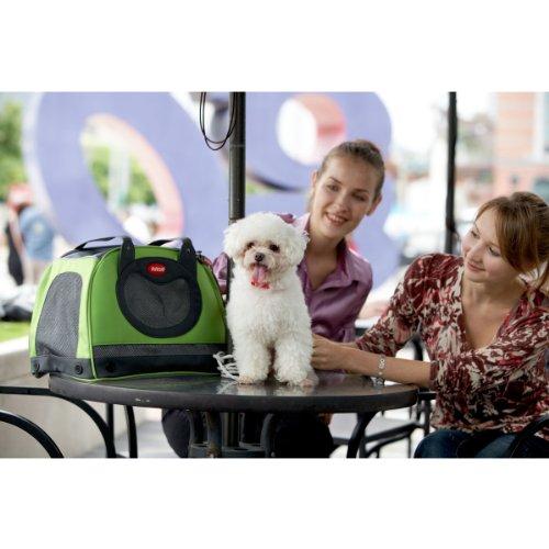 ［即日発送］ ARGO ペットキャリー ペタボード M グリーン 【G2289525427】(14557円)