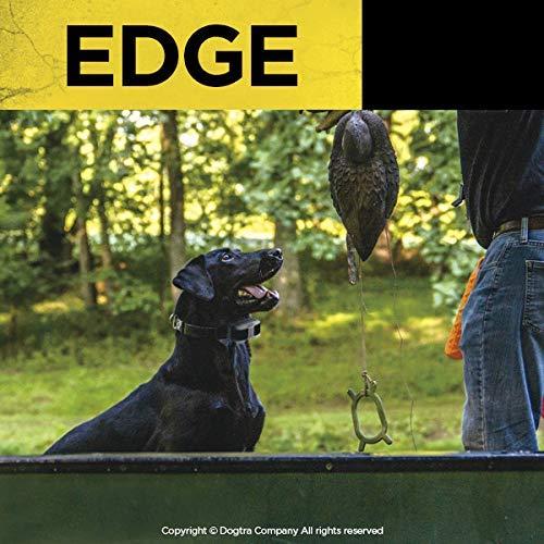 Dogtra　Edge　Orange　Additional　1-Mile　for　Range　4-Dog　Training　Long　E-Collar　Dog　Expandable　Remote　Receiver　High-Output　Waterproof　Profession