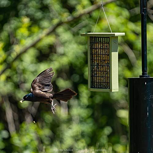 ★動作確認済み バードチョイス2アームトッパーバードフィーダーポールセットリスバッフル付 【C5973330082】(21750円)