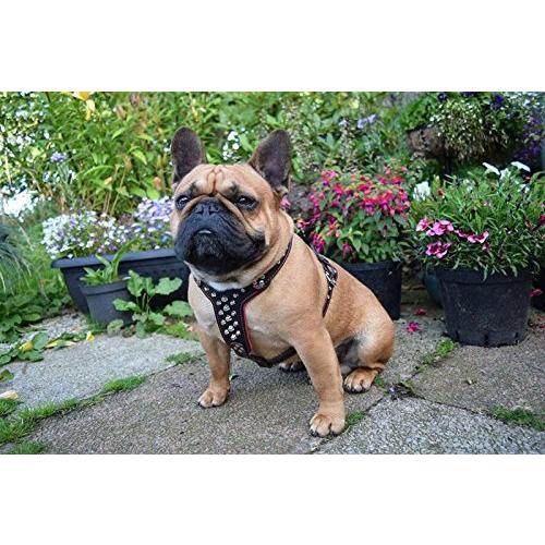 Bestiaスタッズレザーハーネス。フレンチブルドッグサイズ。レザー100%。ヨーロッパのハンドメイド Bestiaスタッズレザーハーネス フレンチブルドッグサイズ レザー100% ヨーロッパのハンドメイド