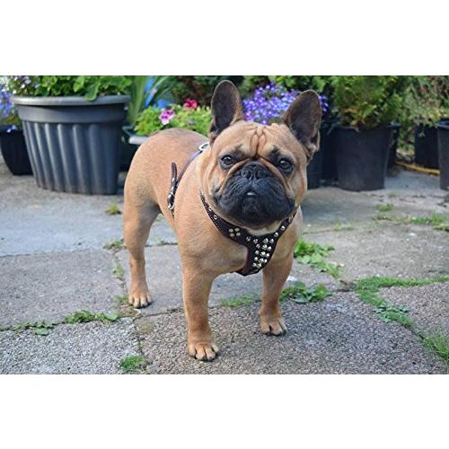 Bestiaスタッズレザーハーネス。フレンチブルドッグサイズ。レザー100%。ヨーロッパのハンドメイド Bestiaスタッズレザーハーネス フレンチブルドッグサイズ レザー100% ヨーロッパのハンドメイド