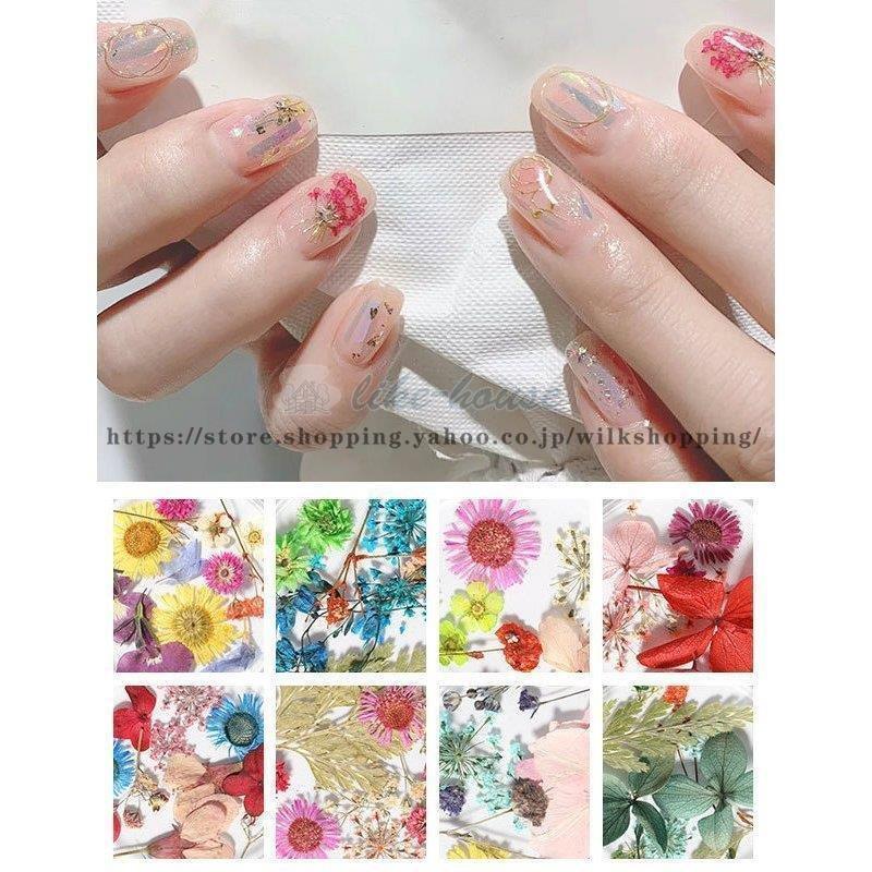 ネイルシール デコパーツ セット セルフネイル ドライフラワー 押し花 カラフル 上品 おしゃれ ピンク レッド グリーン ブルー ホワイト母親 Aeb22 Kk0902 Yy Wilk Shopping 通販 Yahoo ショッピング