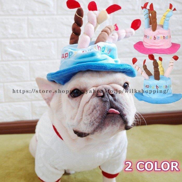 犬 誕生日 バースデー ハット 帽子 ブルー ピンク キャップ 可愛い 
