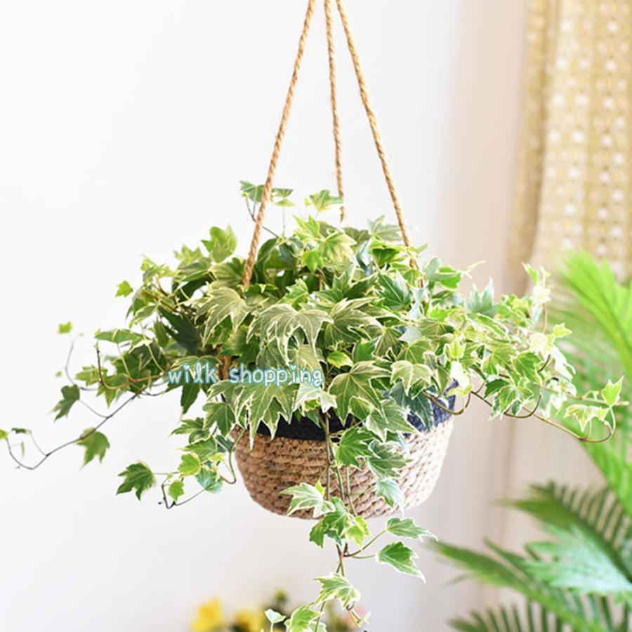ハンギングバスケット 吊り鉢 吊り下げ 植木鉢 ハンギングプランター