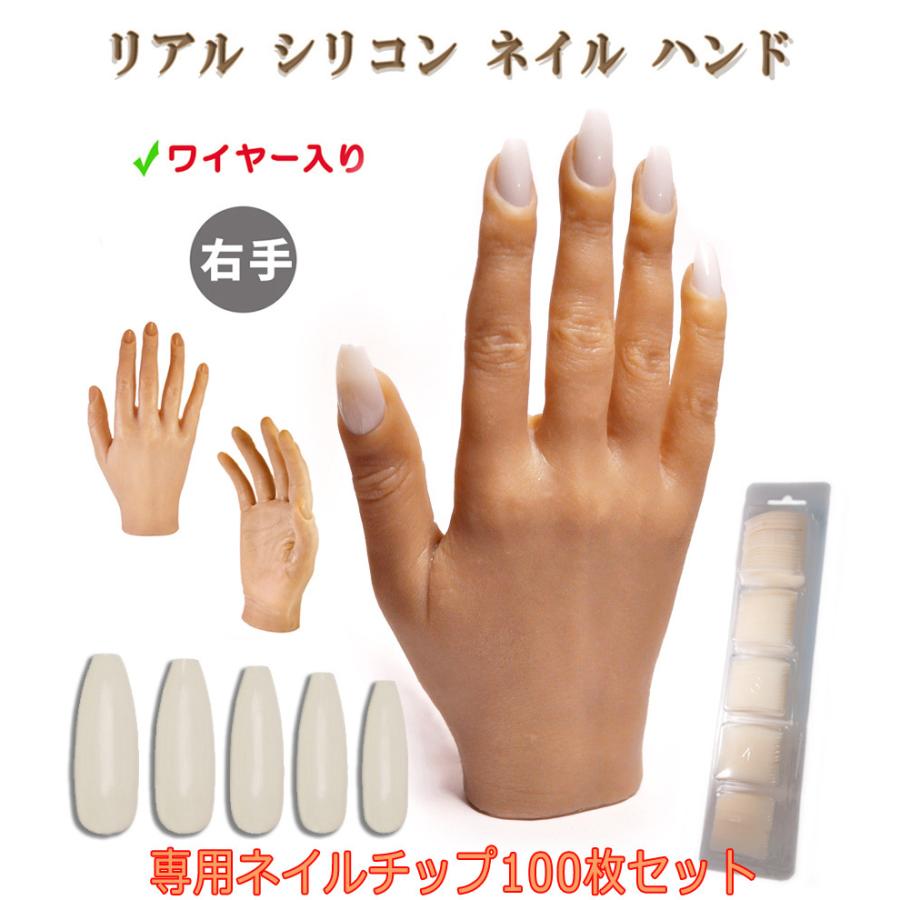 ネイル検定　認定ハンド　トレーニングハンド ネイル検定練習用ハンド トレーニングハンド 【左手】