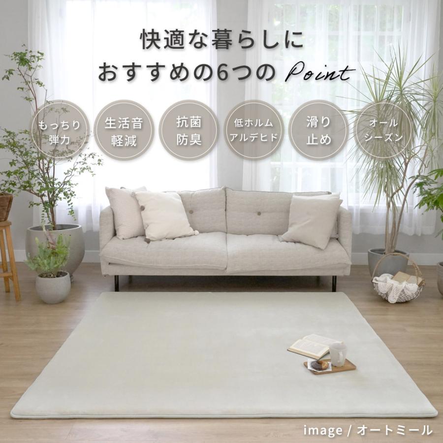 【代引き不可】ラグ フランネル NP-03 高反発 2層ウレタン 滑り止め付き 抗菌 防臭 防音 床暖房 ホットカーペット対応 子供 ペット オールシーズン スミノエ
