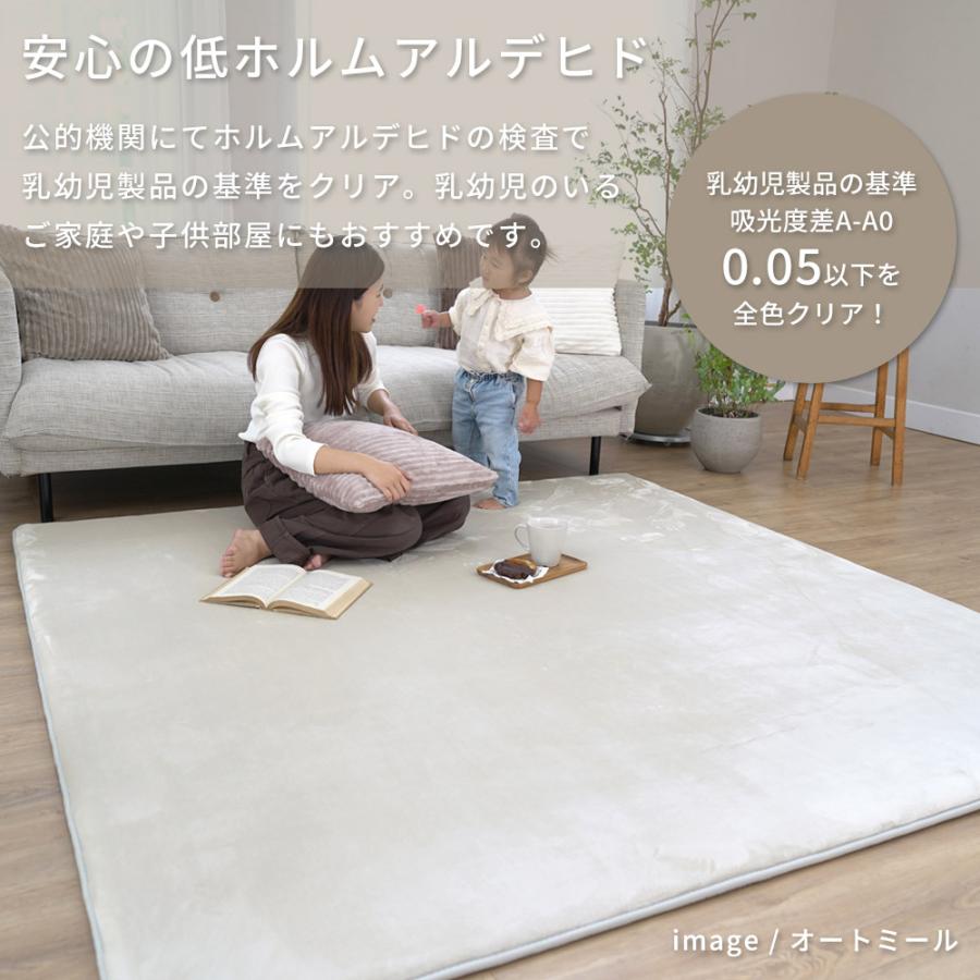 【代引き不可】ラグ フランネル NP-03 高反発 2層ウレタン 滑り止め付き 抗菌 防臭 防音 床暖房 ホットカーペット対応 子供 ペット オールシーズン スミノエ