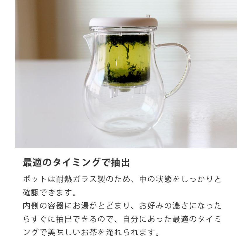 ティーポット 耐熱ガラス製 茶こし付き ワンプッシュ抽出 1人〜2人用