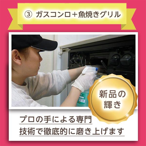 お掃除セレクトパック♪4箇所選べるお得なメニュー！対象エリア：大阪府、兵庫県、奈良県、京都府、滋賀県（出張施工） |  | 03