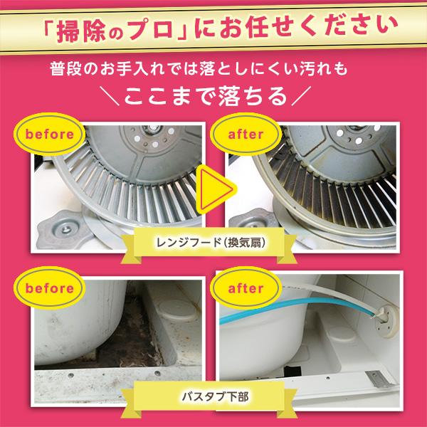 お掃除セレクトパック♪4箇所選べるお得なメニュー！対象エリア：大阪府、兵庫県、奈良県、京都府、滋賀県（出張施工） |  | 08