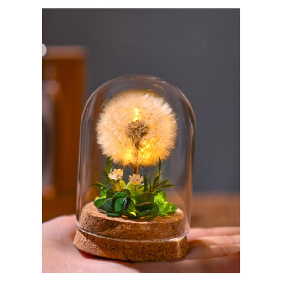 ドライフラワー プリザーブドフラワー ガラスドーム タンポポ コルク瓶 小さい ミニ 小さめ 花 夏 インテリアフラワー 飾り LED 玄関 卓上 置 |  | 10