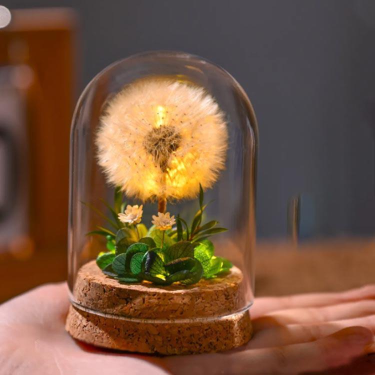 ドライフラワー プリザーブドフラワー ガラスドーム タンポポ コルク瓶 小さい ミニ 小さめ 花 夏 インテリアフラワー 飾り LED 玄関 卓上 置 |  | 01