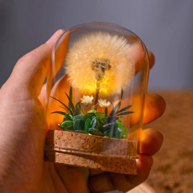 ドライフラワー プリザーブドフラワー ガラスドーム タンポポ コルク瓶 小さい ミニ 小さめ 花 夏 インテリアフラワー 飾り LED 玄関 卓上 置 |  | 03