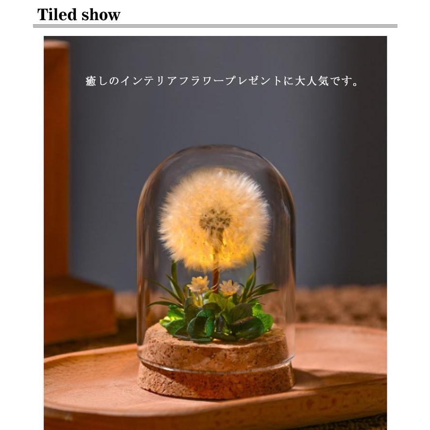 ドライフラワー プリザーブドフラワー ガラスドーム タンポポ コルク瓶 小さい ミニ 小さめ 花 夏 インテリアフラワー 飾り LED 玄関 卓上 置 |  | 07