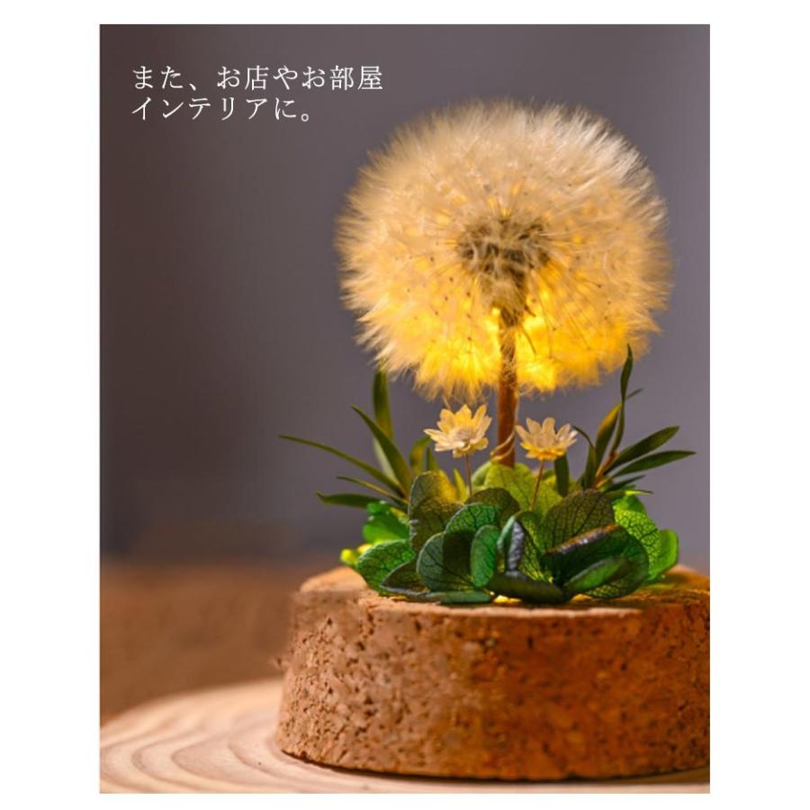 ドライフラワー プリザーブドフラワー ガラスドーム タンポポ コルク瓶 小さい ミニ 小さめ 花 夏 インテリアフラワー 飾り LED 玄関 卓上 置 |  | 09
