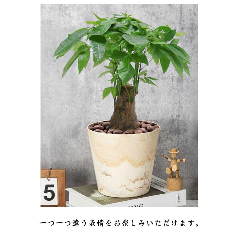 ポット 中型 4個セット 室内 小型 小さい 植木鉢 大型 鉢 おしゃれ 鉢 軽量 大きい 鉢カバー 屋内 植木鉢 プラスチック テラコッタ風 観葉植 |  | 12