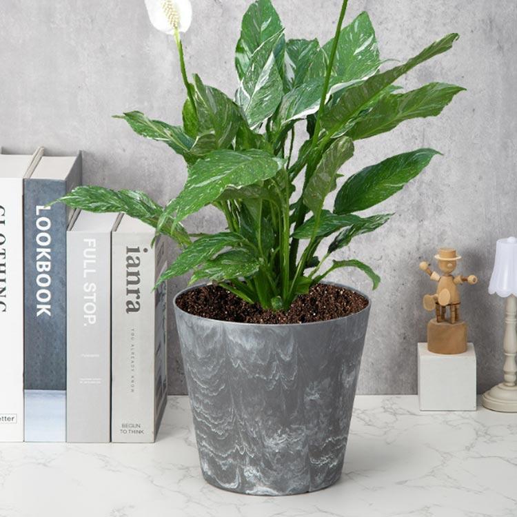 ポット 中型 4個セット 室内 小型 小さい 植木鉢 大型 鉢 おしゃれ 鉢 軽量 大きい 鉢カバー 屋内 植木鉢 プラスチック テラコッタ風 観葉植 |  | 03