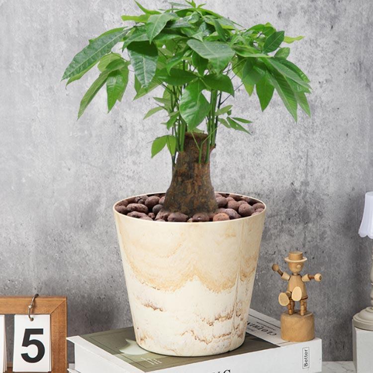 ポット 中型 4個セット 室内 小型 小さい 植木鉢 大型 鉢 おしゃれ 鉢 軽量 大きい 鉢カバー 屋内 植木鉢 プラスチック テラコッタ風 観葉植 |  | 04