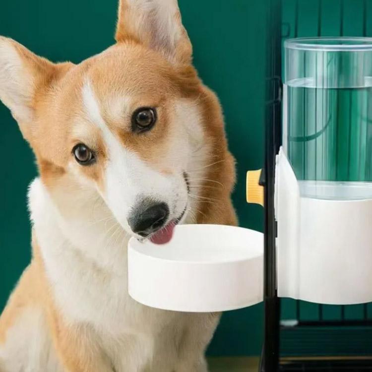 2点セット ペット用 自動給餌器 自動給水器 猫 中小犬用 小鳥 給水 給水器 給餌 食器 イヌ いぬ ネコ用 ねこ用犬 食器 猫 食器 ペット お留 |  | 01