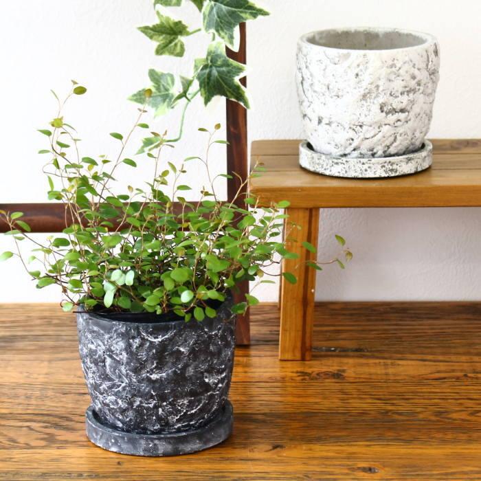 植木鉢 おしゃれ 陶器 鉢 ガーデニング用品 プランター 陶器鉢