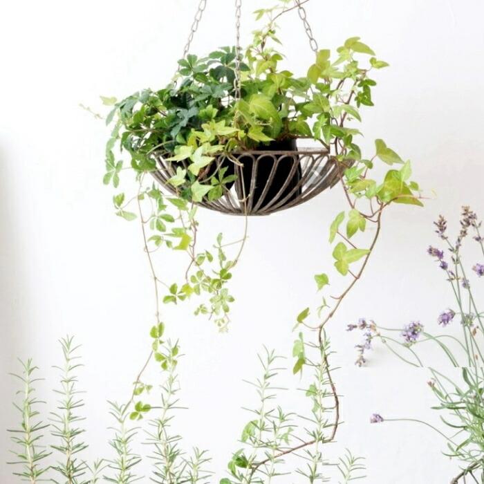 ワイヤーバスケット2個　植木カバー　カゴ　籠　金属製　シルバー ワイヤーバスケット2個 植木カバー カゴ 籠 金属製 シルバー ワイヤー