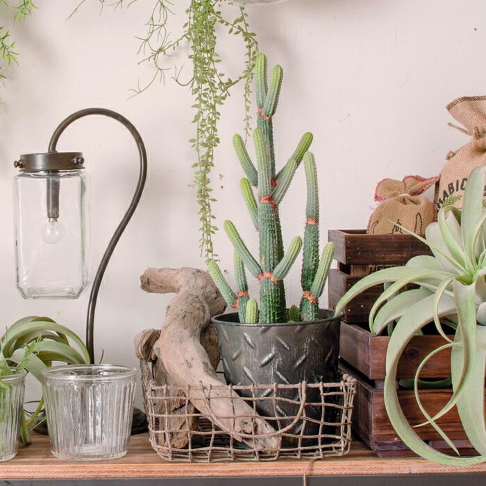 かご バスケット カゴ ワイヤーバスケット 収納カゴ ガーデニング 収納バスケット アイアン グレー |  | 01