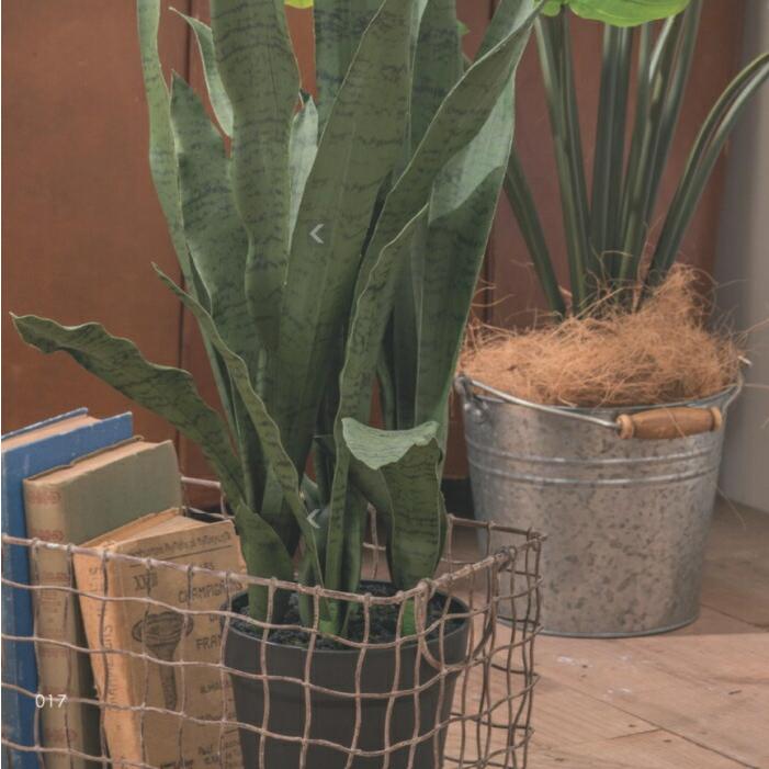 かご バスケット カゴ ワイヤーバスケット 収納カゴ ガーデニング 収納バスケット アイアン グレー |  | 02