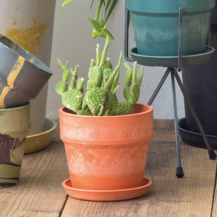 植木鉢 鉢 ガーデニング用品 プランター おしゃれ 北欧 鉢カバー プラスチック 安い プラ鉢 Sサイズ |  | 01