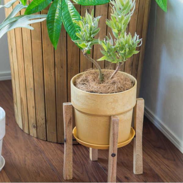 大きさによって価格異なります 植木鉢 鉢 生活雑貨 家庭用品 ガーデニング 植木鉢 鉢 ガーデニング用品 プランター おしゃれ 北欧 鉢カバー