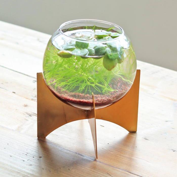 花瓶 フラワーベース おしゃれ テラリウム 容器 ガラス 花器 ガラス