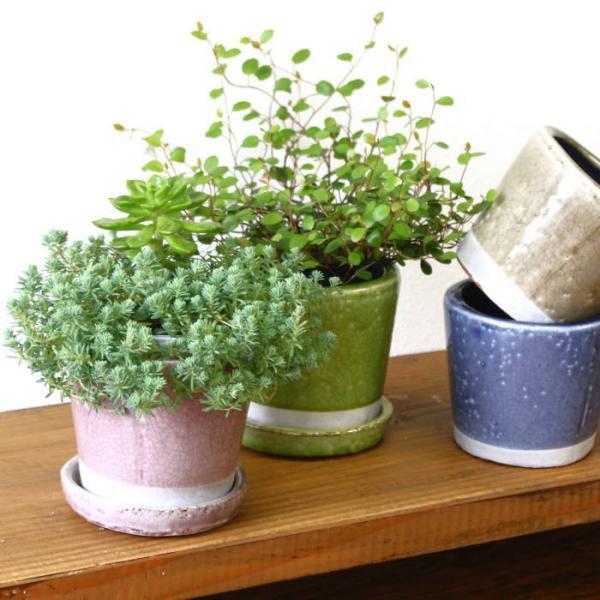 植木鉢 おしゃれ 陶器 鉢 ガーデニング用品 プランター 陶器鉢