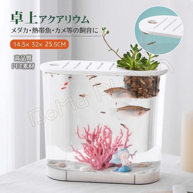 水槽 小型水槽 金魚鉢 アクアリウム水槽 卓上アクアリウム 飼育セット