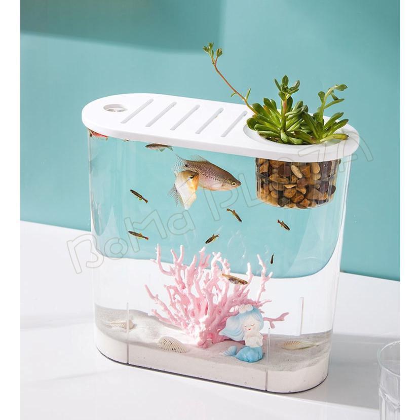 メダカ鉢小型水槽アクアリウム用品 Amazon.co.jp: 金魚鉢 メダカ 水槽 小型水槽 ガラス 透明 10cm*9.5cm