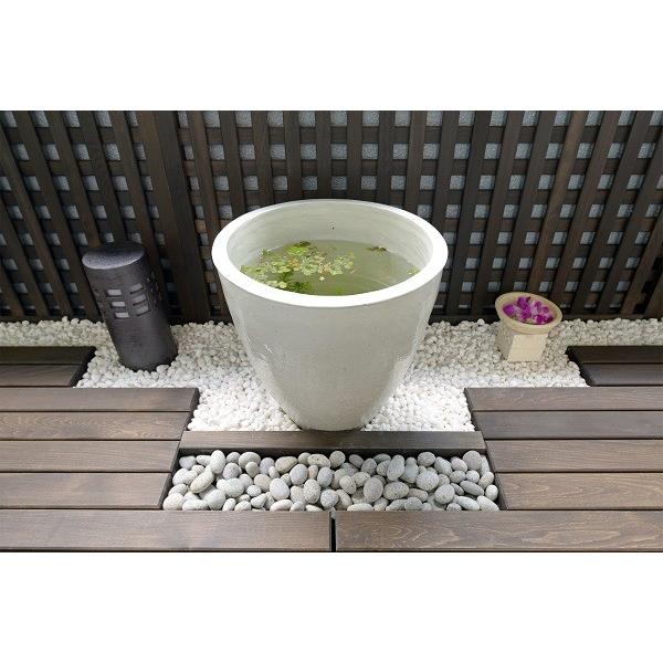 信楽焼 睡蓮鉢 雅 丸型30サイズ 白 陶器製 大型 鉢 おしゃれ メダカ