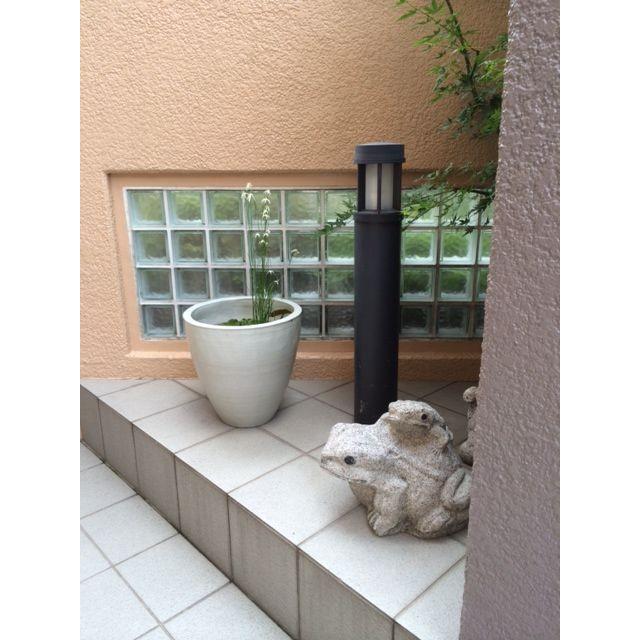 陶器ラッパ型睡蓮アンティーク睡蓮鉢