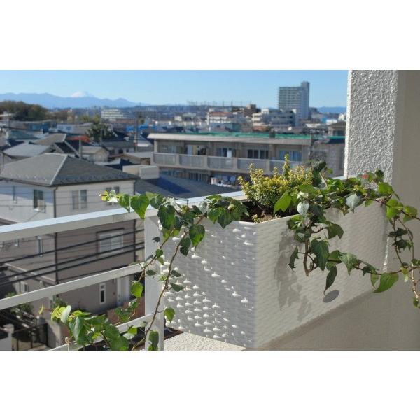 ハンギングプランター50サイズ 底面灌水機能 天然軽石付き 鉢 おしゃれ 壁掛け 吊り下げ 屋外 ベランダ Pmle 6550k Willベランダガーデン 通販 Yahoo ショッピング