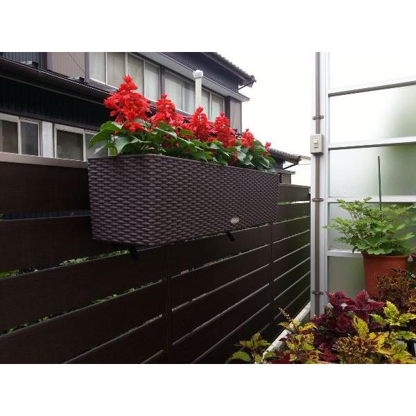 ハンギングプランター80サイズ 底面灌水機能 天然軽石付き 鉢 おしゃれ 壁掛け 吊り下げ 屋外 ベランダ Pmle 6580k Willベランダガーデン 通販 Yahoo ショッピング