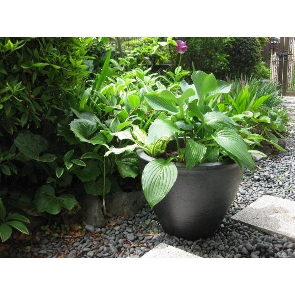 信楽焼 植木鉢 雅 丸型30サイズ 黒 大型 陶器製 鉢 おしゃれ 信楽焼 植木鉢 雅 丸型30サイズ 黒 大型 陶器製 鉢 おしゃれ
